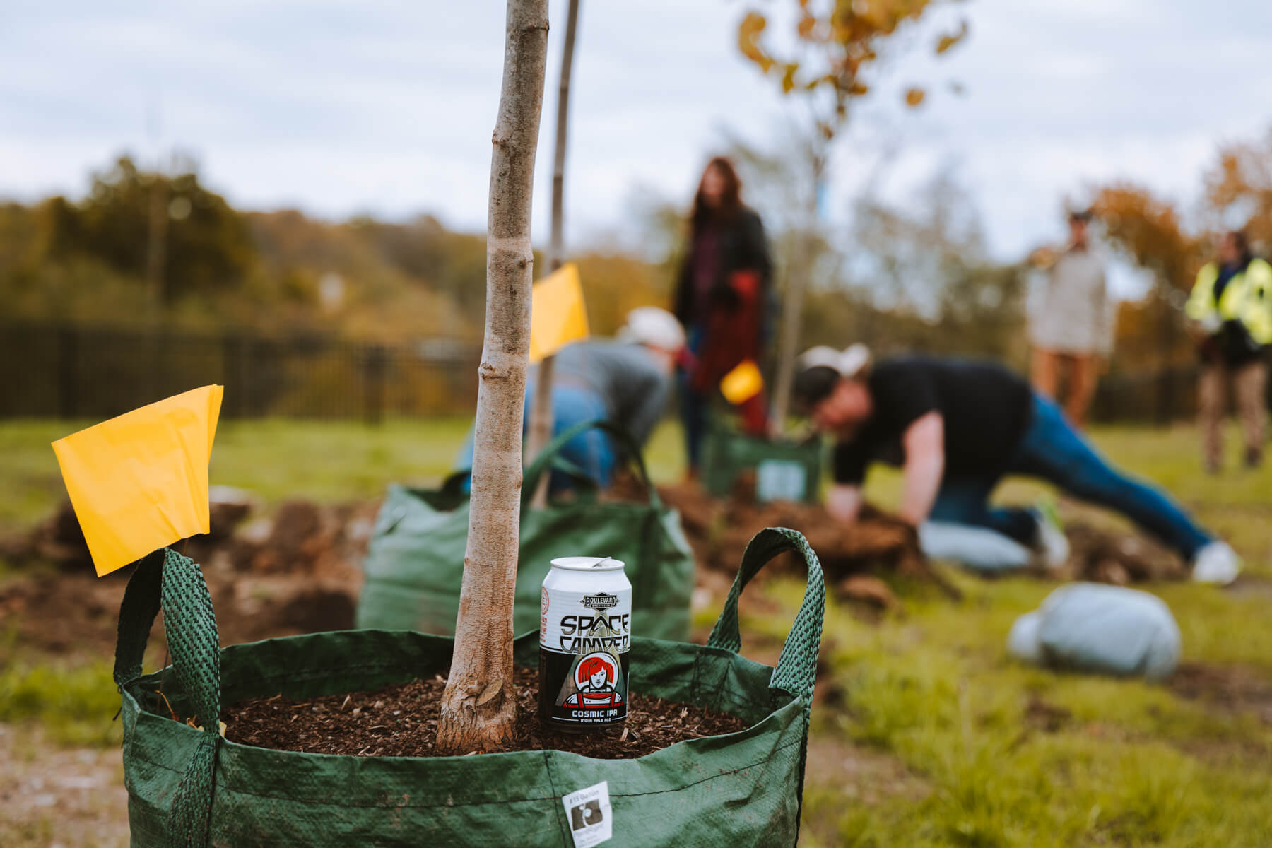 Volunteers plant trees in a grassy area, focusing on a tree planted in a green fabric pot. A can of Space Camper beer rests on the edge of the pot, adding a casual vibe to the scene. Yellow flags mark planting locations, while blurred trees and people working fill the background. It's all about community effort.